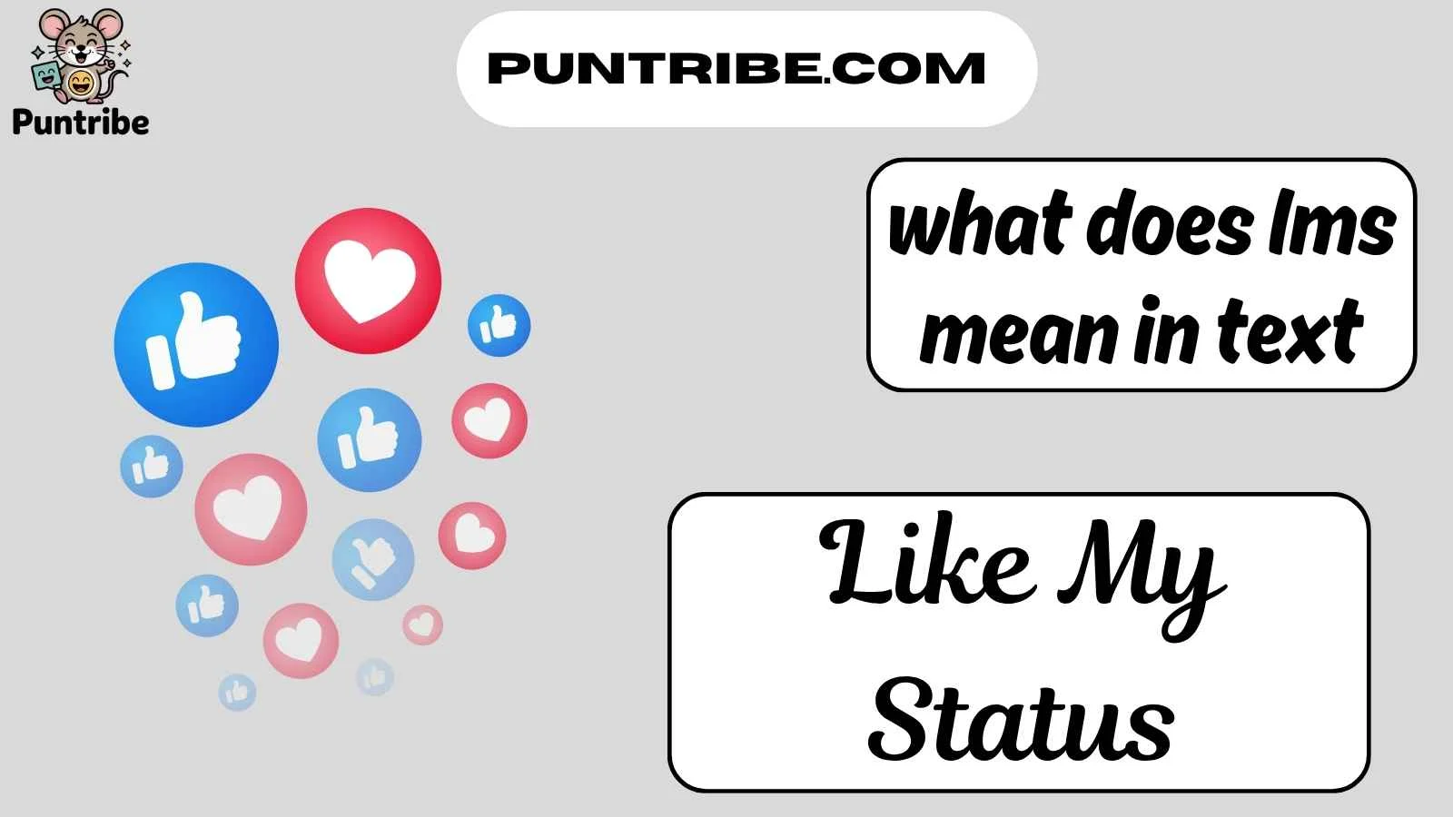 what does lms mean in text