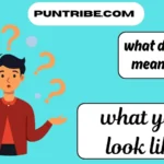 what does wyll mean in text