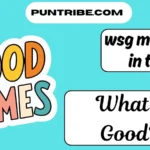 wsg meaning in text