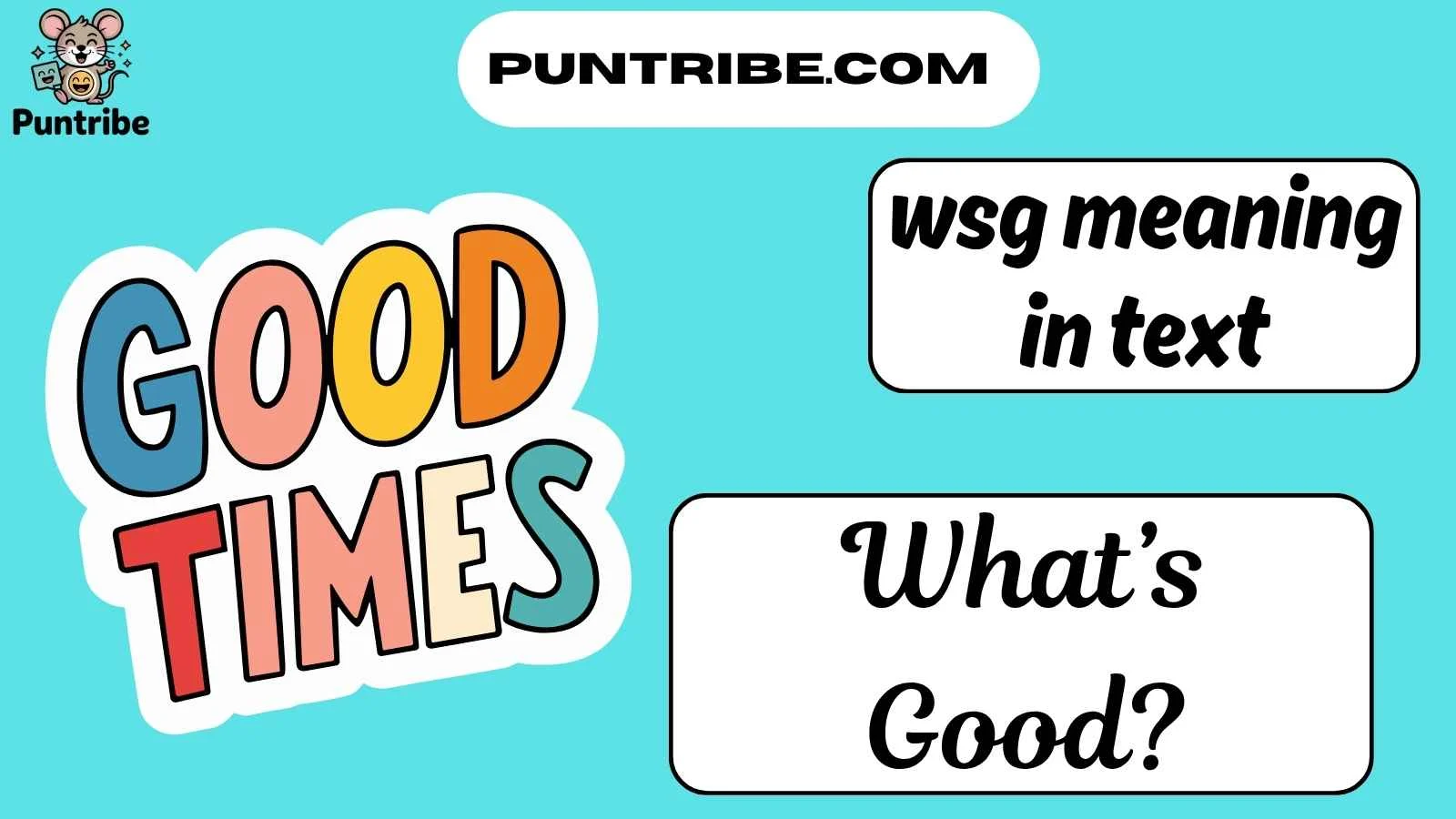 wsg meaning in text