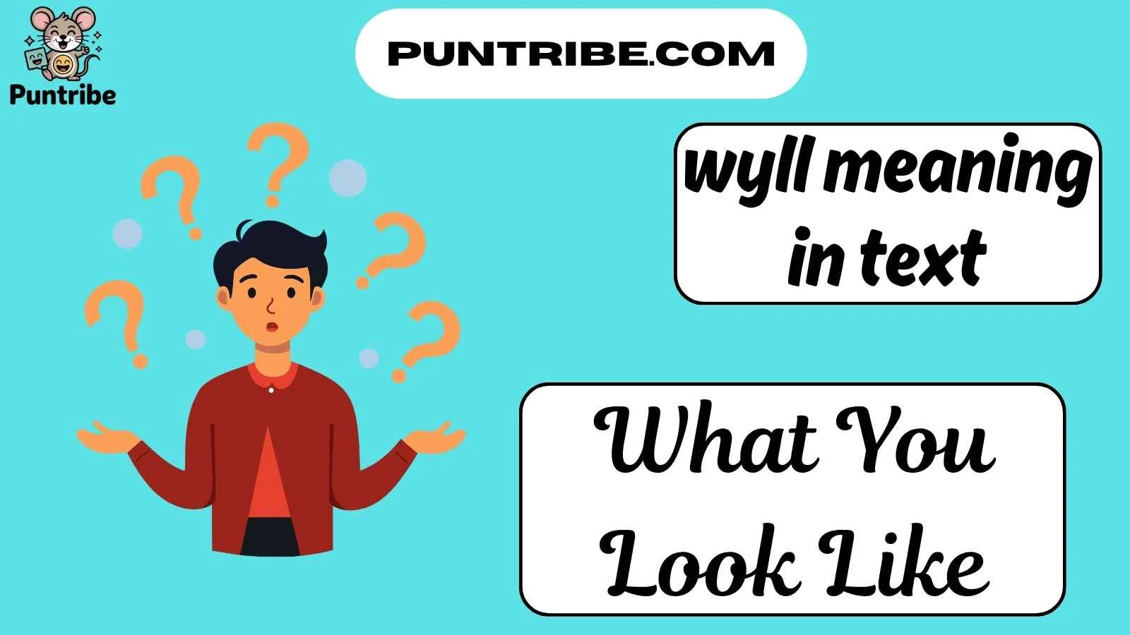 wyll meaning in text