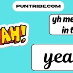 yh meaning in text