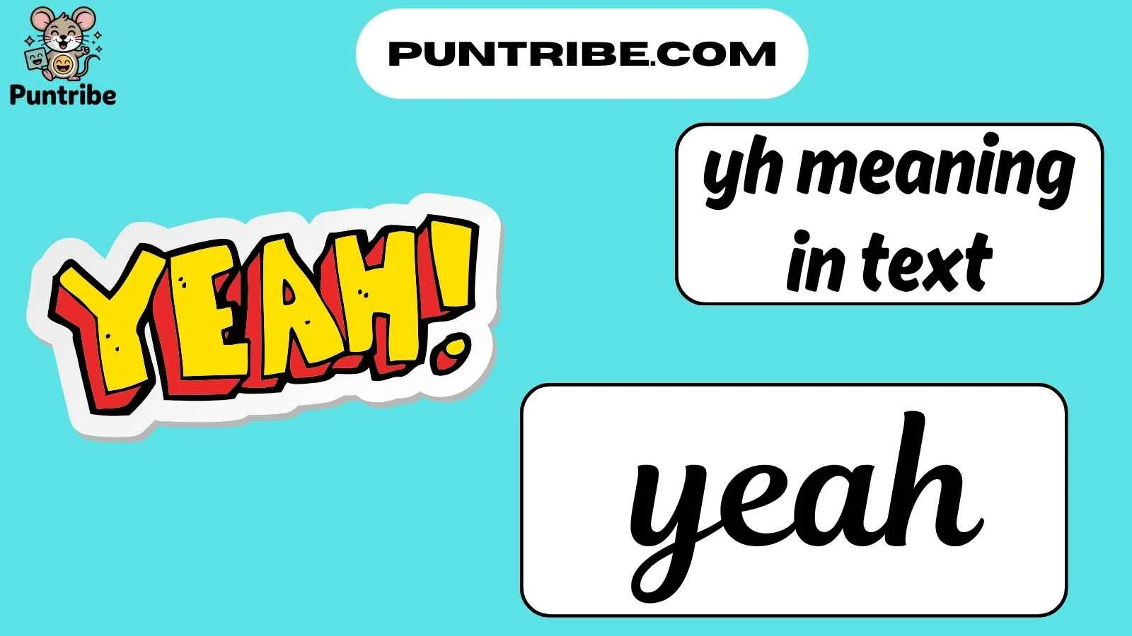 yh meaning in text