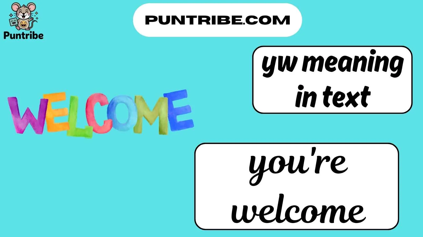 yw meaning in text